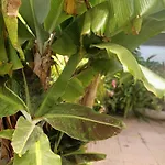 Summer Loft * Sant'Andrea (Sardinia)